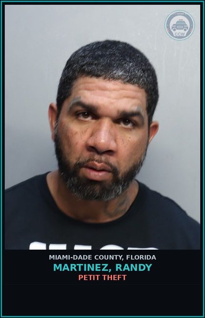 CCW arrest card for MARTINEZ, RANDY in Miami-Dade County: PETIT THEFT