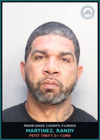 CCW arrest card for MARTINEZ, RANDY in Miami-Dade County: PETIT THEFT 2> CONV