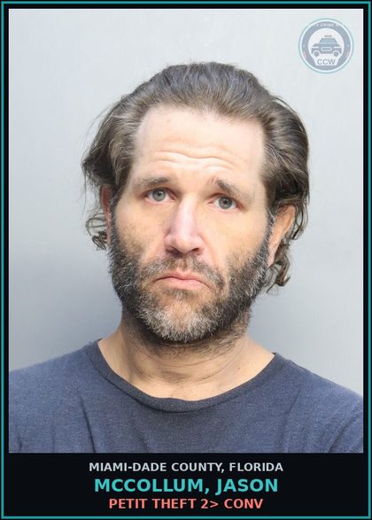 CCW arrest card for MCCOLLUM, JASON in Miami-Dade County: PETIT THEFT 2> CONV