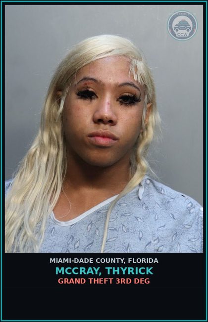 CCW arrest card for MCCRAY, THYRICK in Miami-Dade County: FLEE/ELUDE PO/LTS/SR