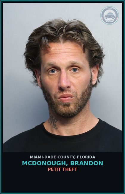 CCW arrest card for MCDONOUGH, BRANDON in Miami-Dade County: PETIT THEFT