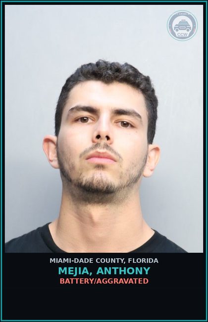 CCW arrest card for MEJIA, ANTHONY in Miami-Dade County: BAT BY STRANGULATION