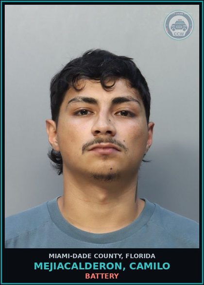 CCW arrest card for MEJIACALDERON, CAMILO in Miami-Dade County: RBRY/STRNGARM/101/19