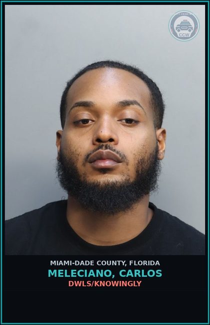 CCW arrest card for MELECIANO, CARLOS in Miami-Dade County: DWLS/KNOWINGLY
