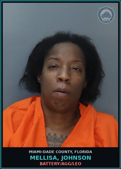CCW arrest card for MELLISA, JOHNSON in Miami-Dade County: RESIST OFC W/ VIOL
