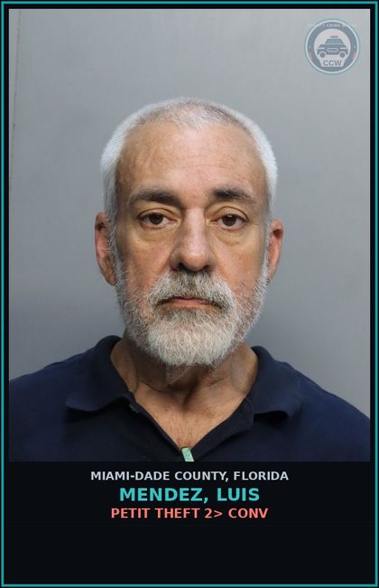 CCW arrest card for MENDEZ, LUIS in Miami-Dade County: PETIT THEFT 2> CONV