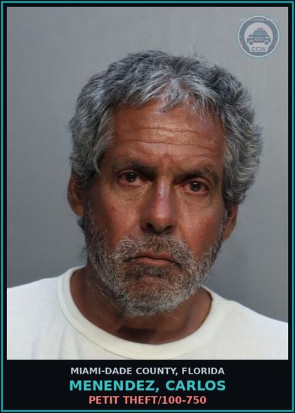 CCW arrest card for MENENDEZ, CARLOS in Miami-Dade County: PETIT THEFT/100-750