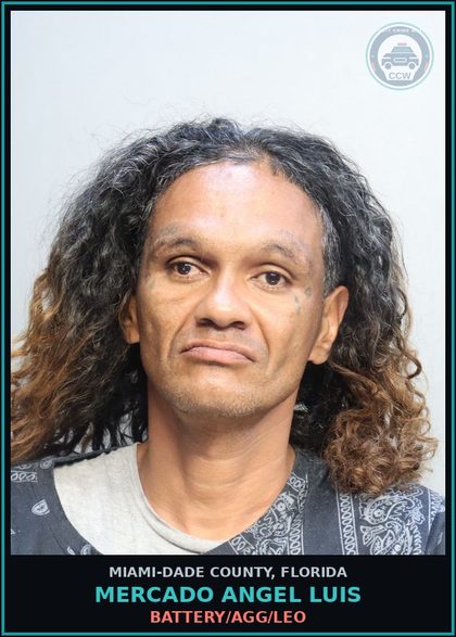 CCW arrest card for MERCADO ANGEL  LUIS in Miami-Dade County: BATTERY/AGG/LEO