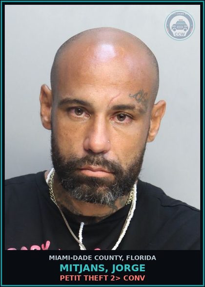 CCW arrest card for MITJANS, JORGE in Miami-Dade County: PETIT THEFT 2> CONV