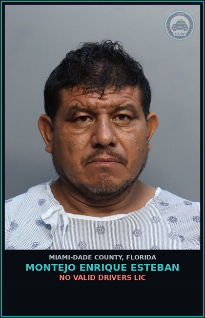 CCW arrest card for MONTEJO ENRIQUE  ESTEBAN in Miami-Dade County: NO VALID DRIVERS LIC