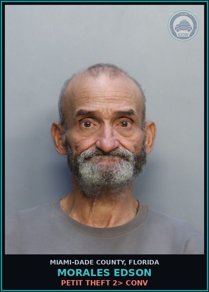 CCW arrest card for MORALES EDSON in Miami-Dade County: PETIT THEFT 2> CONV