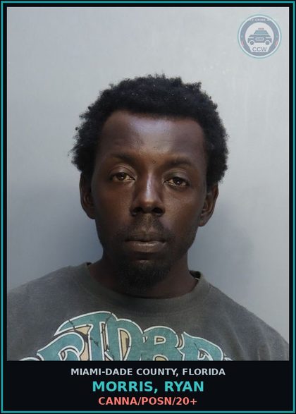 CCW arrest card for MORRIS, RYAN in Miami-Dade County: Canna/POSN/20+