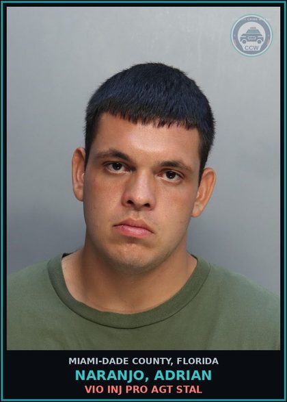 CCW arrest card for NARANJO, ADRIAN in Miami-Dade County: VIO INJ PRO AGT STAL