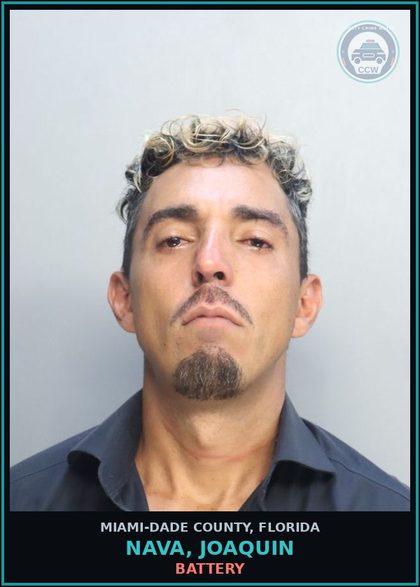 CCW arrest card for NAVA, JOAQUIN in Miami-Dade County: PETIT THEFT 2> CONV