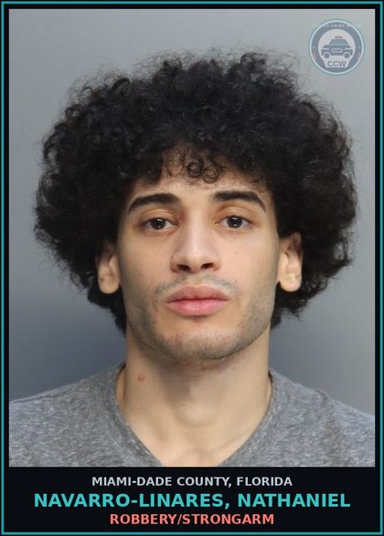 CCW arrest card for NAVARRO-LINARES, NATHANIEL in Miami-Dade County: ROBBERY/STRONGARM