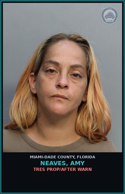 CCW arrest card for NEAVES, AMY in Miami-Dade County: TRES PROP/AFTER WARN