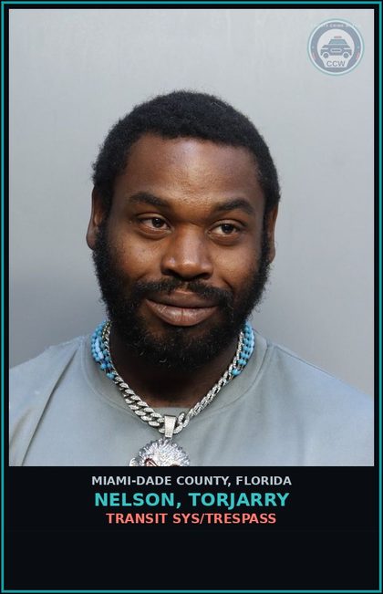 CCW arrest card for NELSON, TORJARRY in Miami-Dade County: FENT/SEL/MAN/DEL/POS