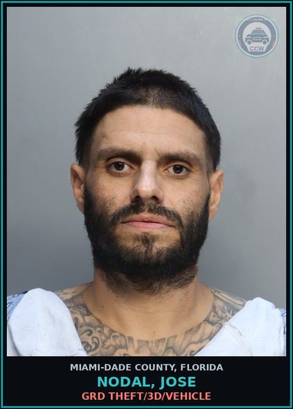 CCW arrest card for NODAL, JOSE in Miami-Dade County: GRD THEFT/3D/VEHICLE