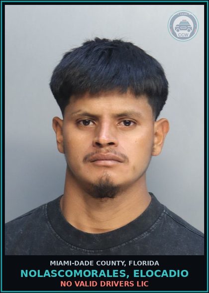 CCW arrest card for NOLASCOMORALES, ELOCADIO in Miami-Dade County: NO VALID DRIVERS LIC