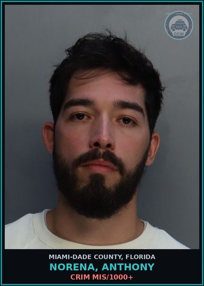 CCW arrest card for NORENA, ANTHONY in Miami-Dade County: CRIM MIS/1000+