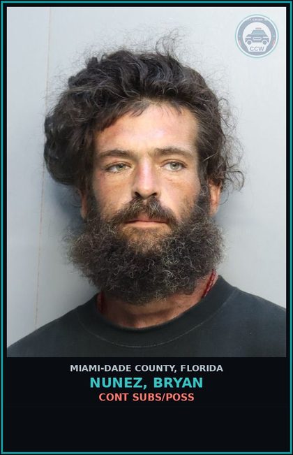 CCW arrest card for NUNEZ, BRYAN in Miami-Dade County: CONT SUBS/POSS