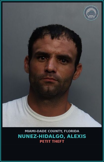 CCW arrest card for NUNEZ-HIDALGO, ALEXIS in Miami-Dade County: STOLEN PROP/DEAL IN