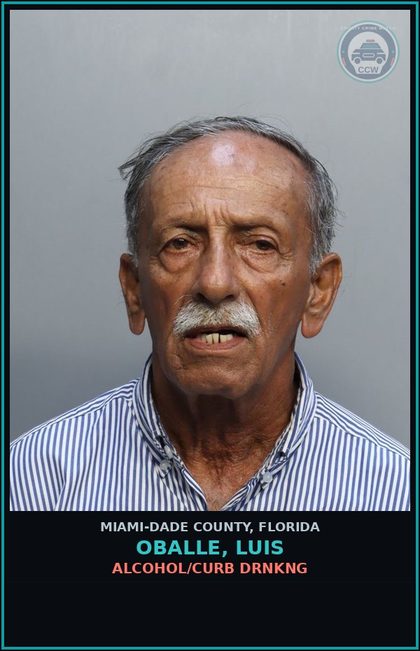 CCW arrest card for OBALLE, LUIS in Miami-Dade County: ALCOHOL/CURB DRNKNG