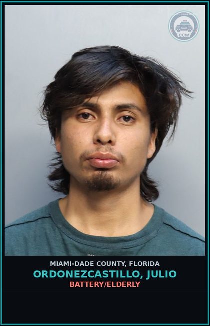 CCW arrest card for ORDONEZCASTILLO, JULIO in Miami-Dade County: BATTERY/ELDERLY