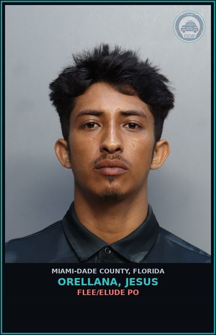 CCW arrest card for ORELLANA, JESUS in Miami-Dade County: FLEE/ELUDE PO