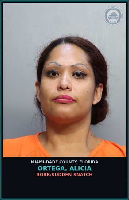CCW arrest card for ORTEGA, ALICIA in Miami-Dade County: ROBB/SUDDEN SNATCH
