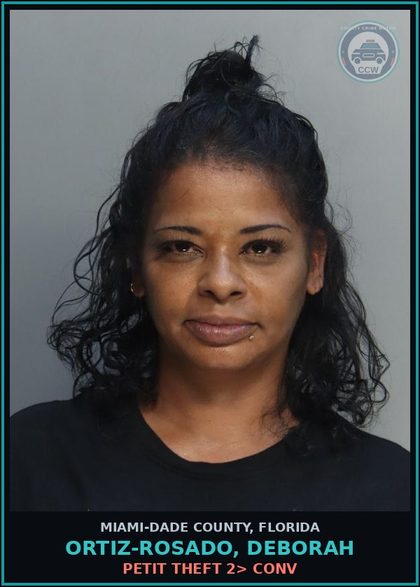 CCW arrest card for ORTIZ-ROSADO, DEBORAH in Miami-Dade County: PETIT THEFT 2> CONV