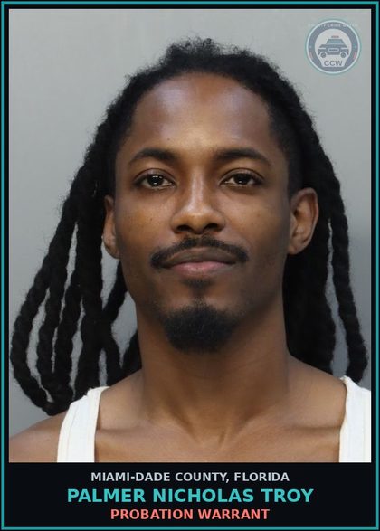 CCW arrest card for PALMER NICHOLAS  TROY in Miami-Dade County: PROBATION WARRANT