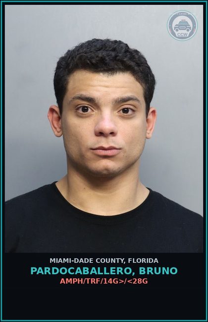 CCW arrest card for PARDOCABALLERO, BRUNO in Miami-Dade County: AMPH/TRF/14G>/<28G