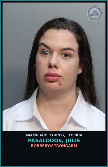 CCW arrest card for PASALODOS, JULIE in Miami-Dade County: ROBBERY/STRONGARM