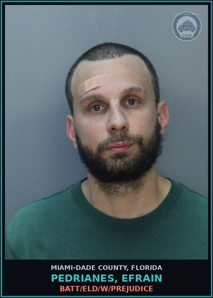 CCW arrest card for PEDRIANES, EFRAIN in Miami-Dade County: BATT/ELD/W/PREJUDICE