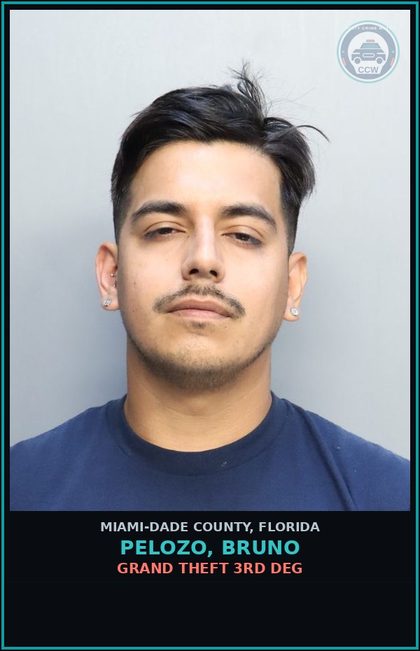 CCW arrest card for PELOZO, BRUNO in Miami-Dade County: GRAND THEFT 3RD DEG