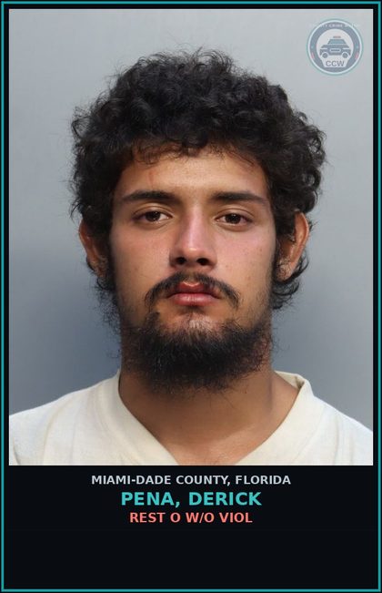 CCW arrest card for PENA, DERICK in Miami-Dade County: REST O W/O VIOL