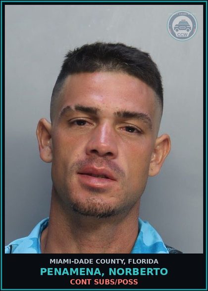 CCW arrest card for PENAMENA, NORBERTO in Miami-Dade County: CONT SUBS/POSS