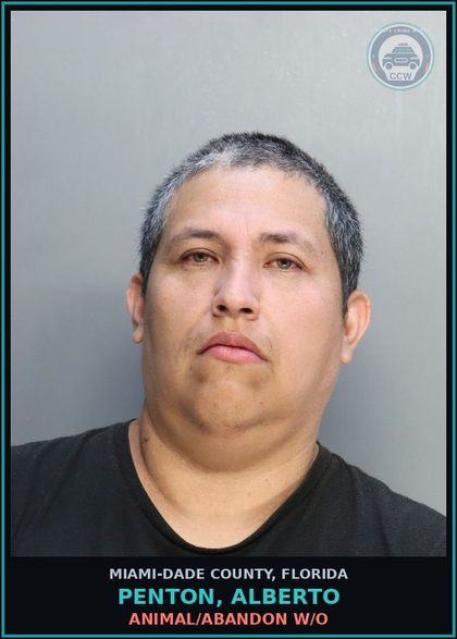 CCW arrest card for PENTON, ALBERTO in Miami-Dade County: ANIMAL/ABANDON W/O