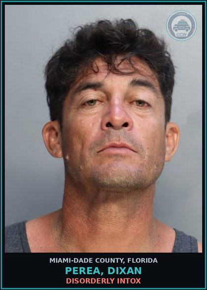 CCW arrest card for PEREA, DIXAN in Miami-Dade County: DISORDERLY INTOX