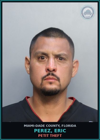 CCW arrest card for PEREZ, ERIC in Miami-Dade County: PETIT THEFT