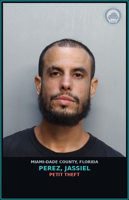 CCW arrest card for PEREZ, JASSIEL in Miami-Dade County: PETIT THEFT