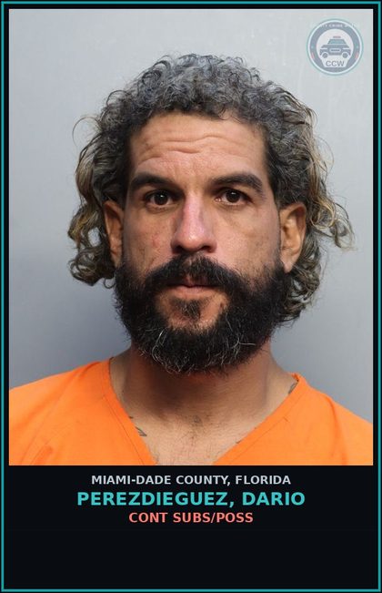 CCW arrest card for PEREZDIEGUEZ, DARIO in Miami-Dade County: CONT SUBS/POSS