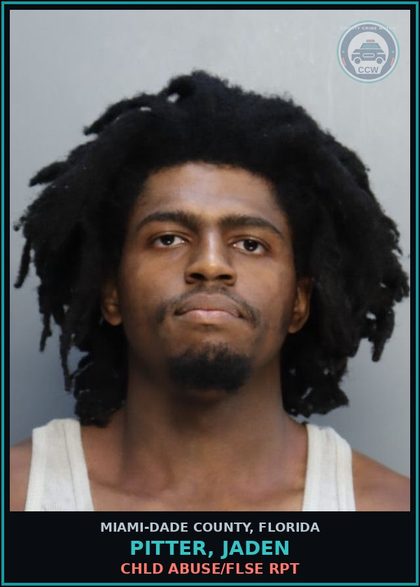 CCW arrest card for PITTER, JADEN in Miami-Dade County: chld ABUSE/FLSE RPT