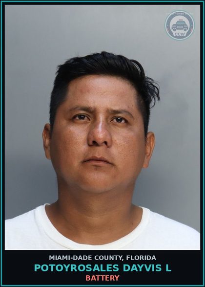 CCW arrest card for POTOYROSALES DAYVIS  L in Miami-Dade County: BATTERY