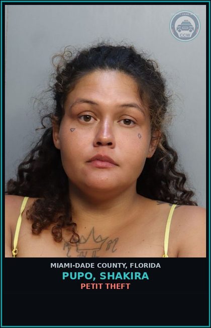 CCW arrest card for PUPO, SHAKIRA in Miami-Dade County: PETIT THEFT