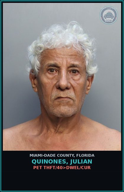CCW arrest card for QUINONES, JULIAN in Miami-Dade County: PET THFT/40>DWEL/CUR