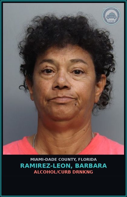 CCW arrest card for RAMIREZ-LEON, BARBARA in Miami-Dade County: ALCOHOL/CURB DRNKNG
