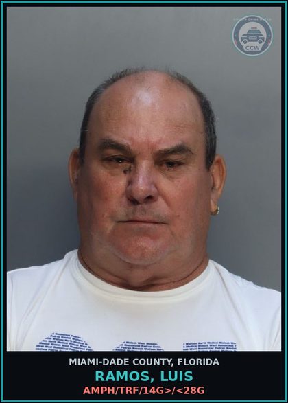 CCW arrest card for RAMOS, LUIS in Miami-Dade County: AMPH/TRF/14G>/<28G