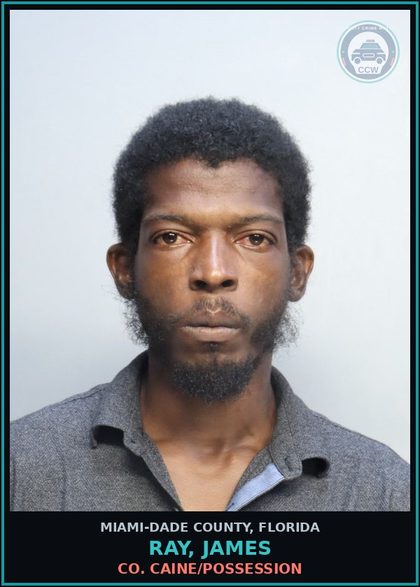 CCW arrest card for RAY, JAMES in Miami-Dade County: COCAINE/POSSESSION